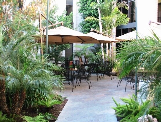 17337 Ventura Blvd Encino Ca 91316 Property For Lease On 17337 Ventura Blvd Encino Ca 91316 Property For Lease On Loopnet